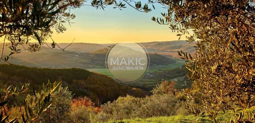 ISTRIA – PROPERTY APPROXIMATELY 30.000 m2 WITH VIEW OF MOTOVUN!