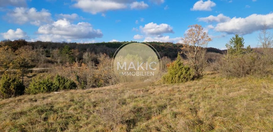 ISTRIA – Oprtalj – agricultural land approx. 10.200m2