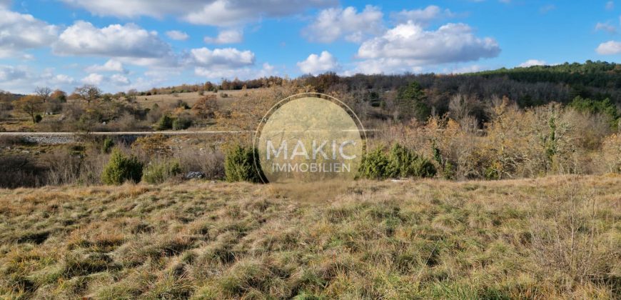 ISTRIA – Oprtalj – agricultural land approx. 10.200m2