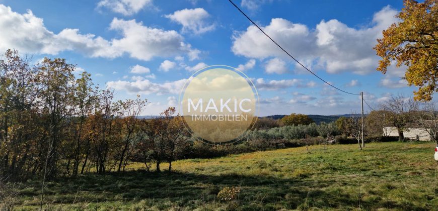 ISTRIA – Oprtalj – property with two houses on approx. 4500m2