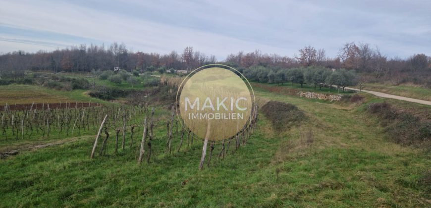 ISTRIA – Oprtalj – House and agricultural land