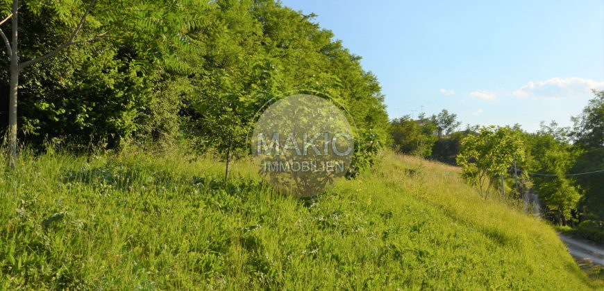 ISTRIA – BUJE – construction site not far from the center in a quiet location