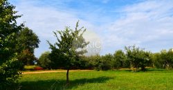 ISTRIA – Luxurious Building Plot with Stunning Views in Umag