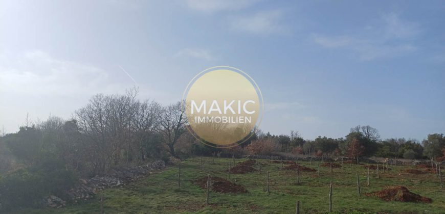 ISTRIEN – Einzigartige Investitionsmöglichkeit: Land zum Verkauf in Šegotići